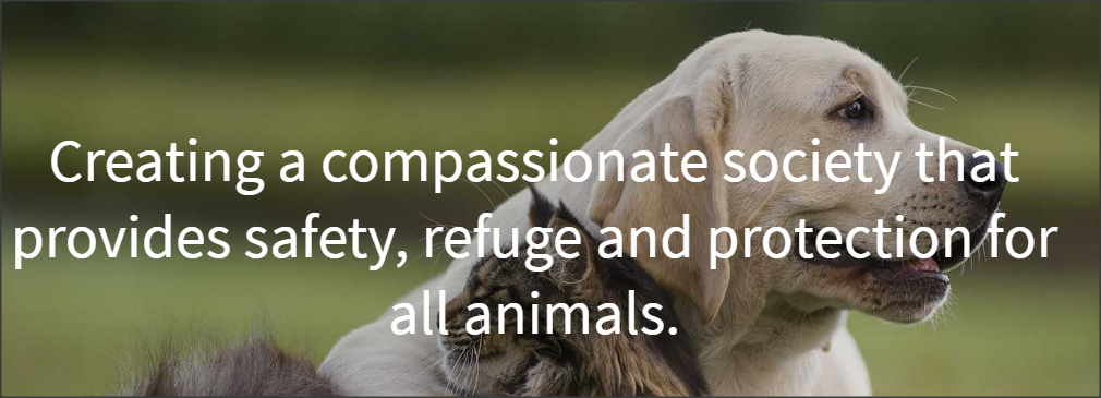 Creating a compassionate society that provides safety,refuge and protection for all animals.